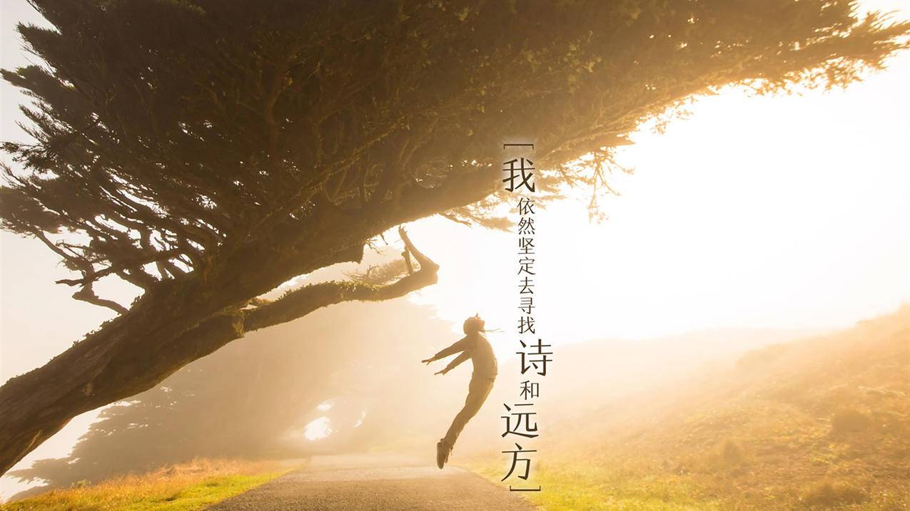 购买QQ访客量 - 抖音24小时在线刷业务网站-刷快手赞平台蚂蚁